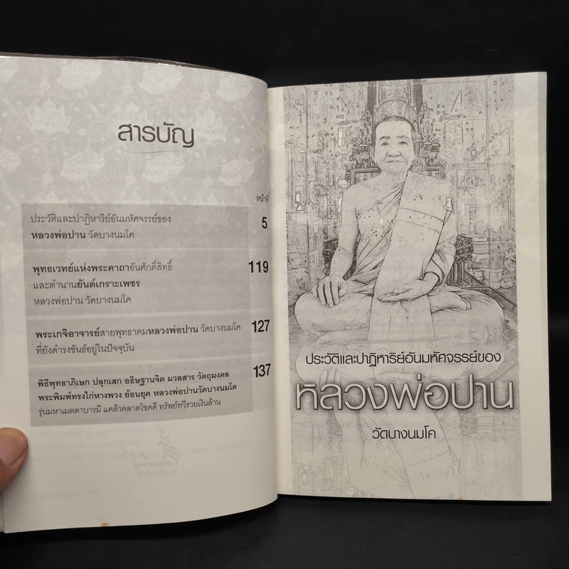 พุทธเวทย์อาคมขลัง หลวงพ่อปาน วัดบางนมโค รูปที่ 6