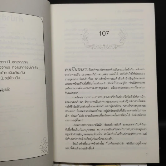ช่วงเวลาดีๆ ที่มีแต่รัก 4 เล่มจบ - เย่ว์เซี่ยเตี๋ยอิ่ง (Yue Xia Die Ying) รูปที่ 6