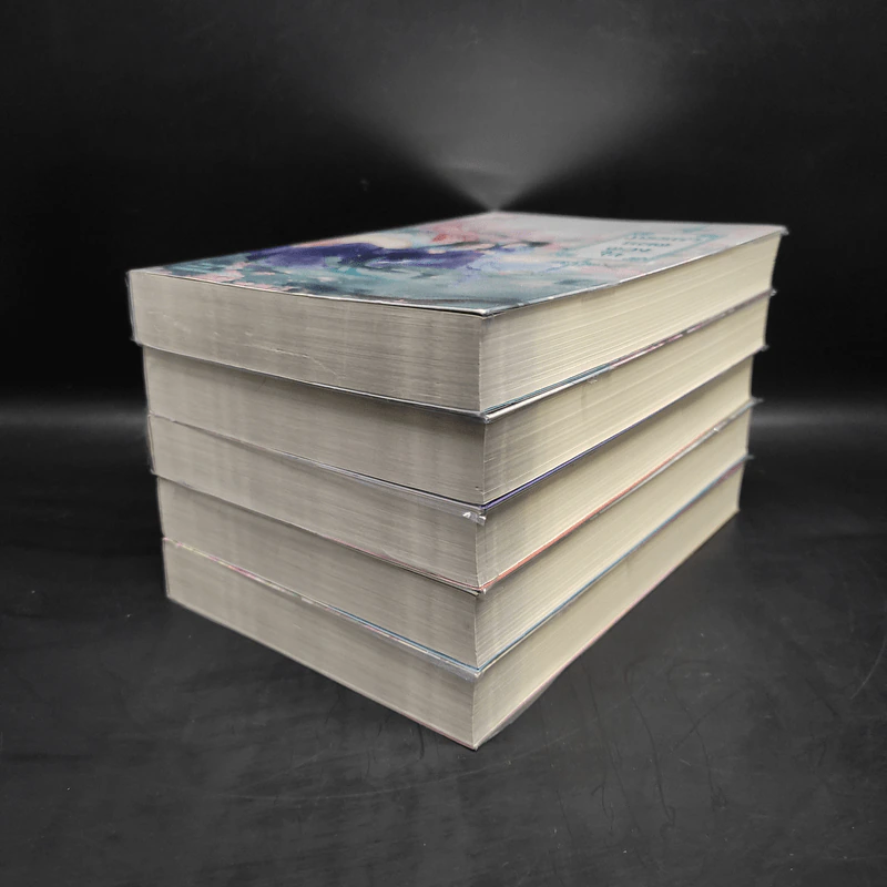 ภรรยายอดดวงใจ 5 เล่มจบ - Wu Shi Yi รูปที่ 3