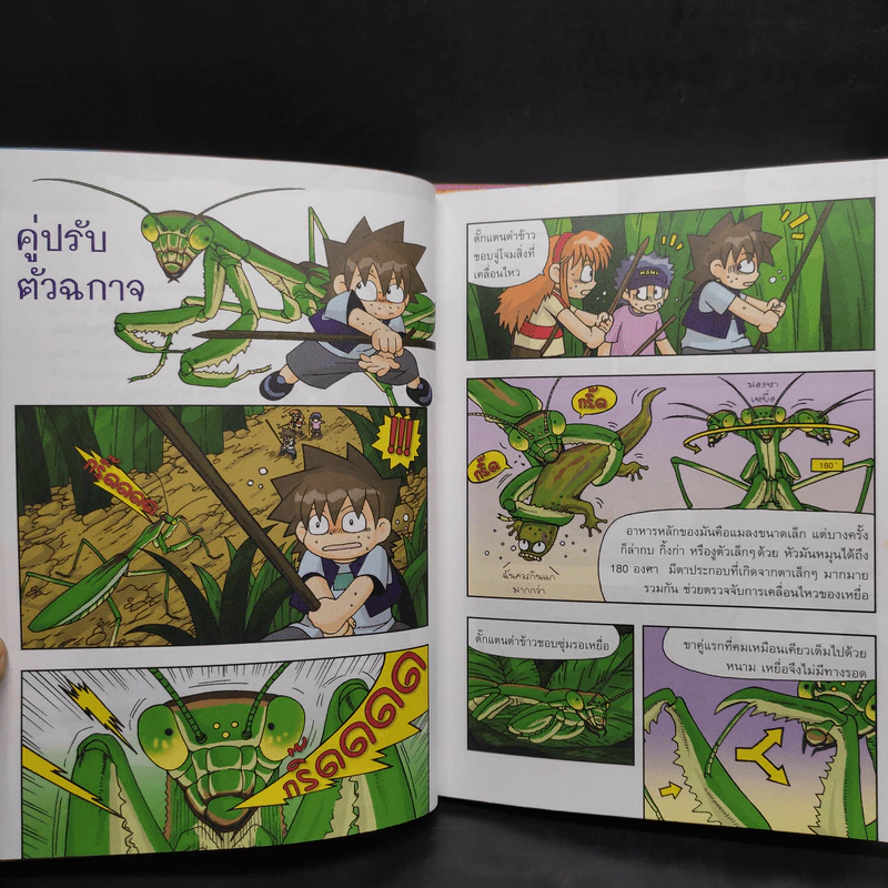เอาชีวิตรอดในอาณาจักรแมลง เล่ม 1-3 รูปที่ 6