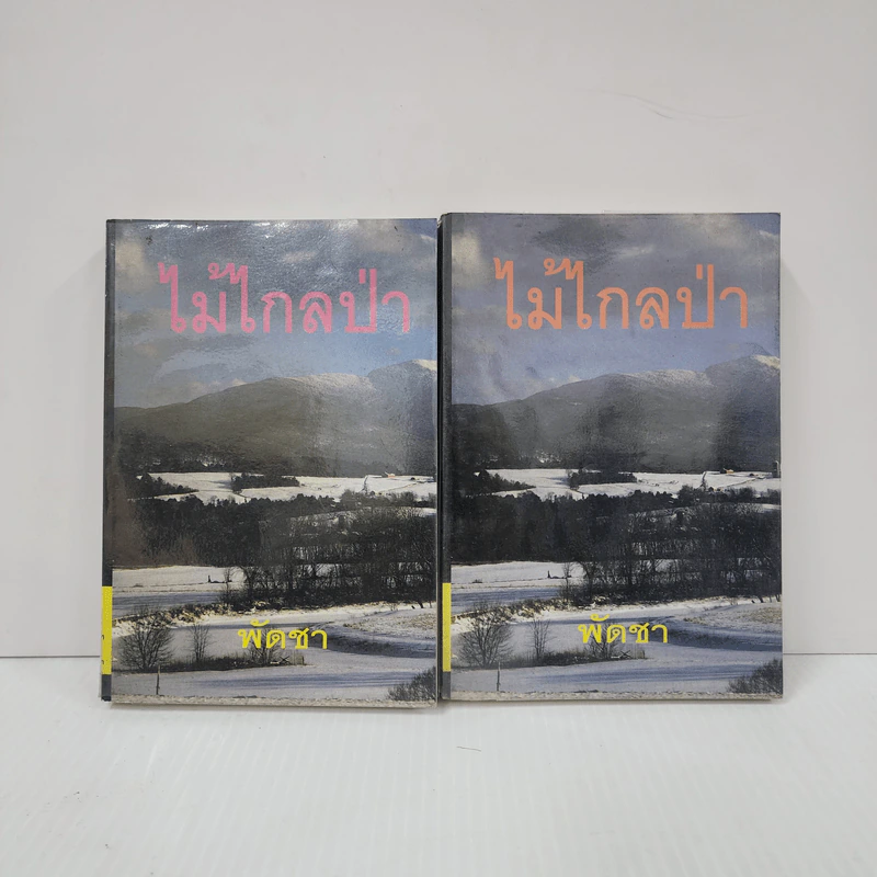 ไม้ไกลป่า 2 เล่มจบ - พัดชา รูปที่ 1