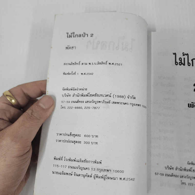ไม้ไกลป่า 2 เล่มจบ - พัดชา รูปที่ 7