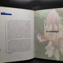 สยามไภษัชยพฤกษ์ : ภูมิปัญญาของชาติ รูปที่ 6