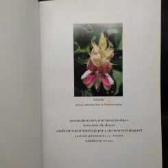 สยามไภษัชยพฤกษ์ : ภูมิปัญญาของชาติ รูปที่ 5