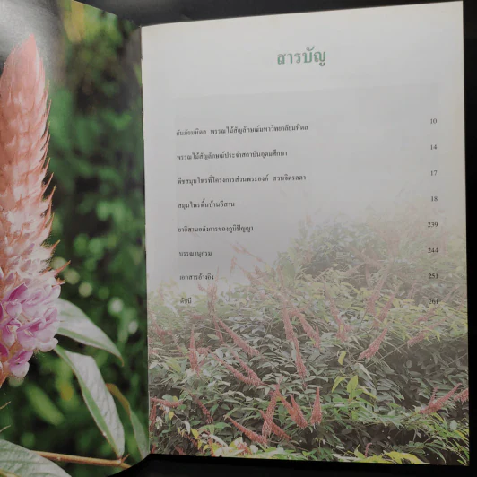 สารานุกรมสมุนไพร เล่ม 4 กกยาอีสาน รูปที่ 6