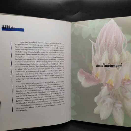 สยามไภษัชยพฤกษ์ : ภูมิปัญญาของชาติ รูปที่ 6