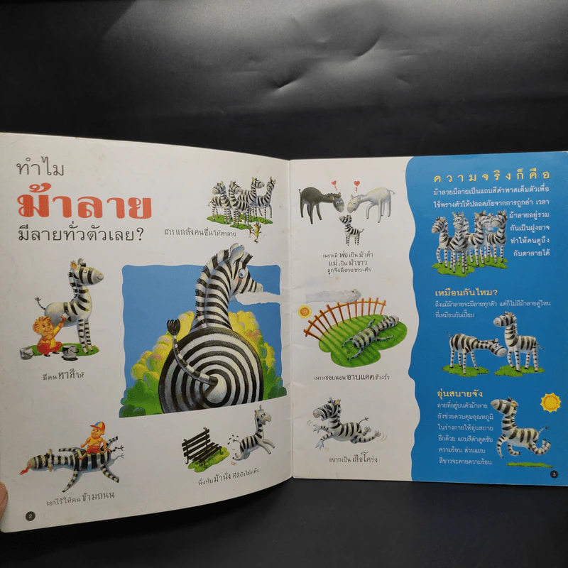 ทำไม? พวกเรารูปร่างแปลกๆ รูปที่ 6