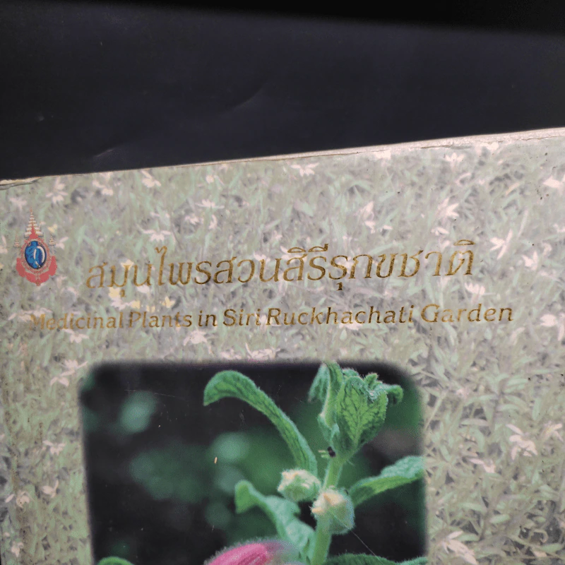 สมุนไพรสวนสิรีรุกขชาติ รูปที่ 2