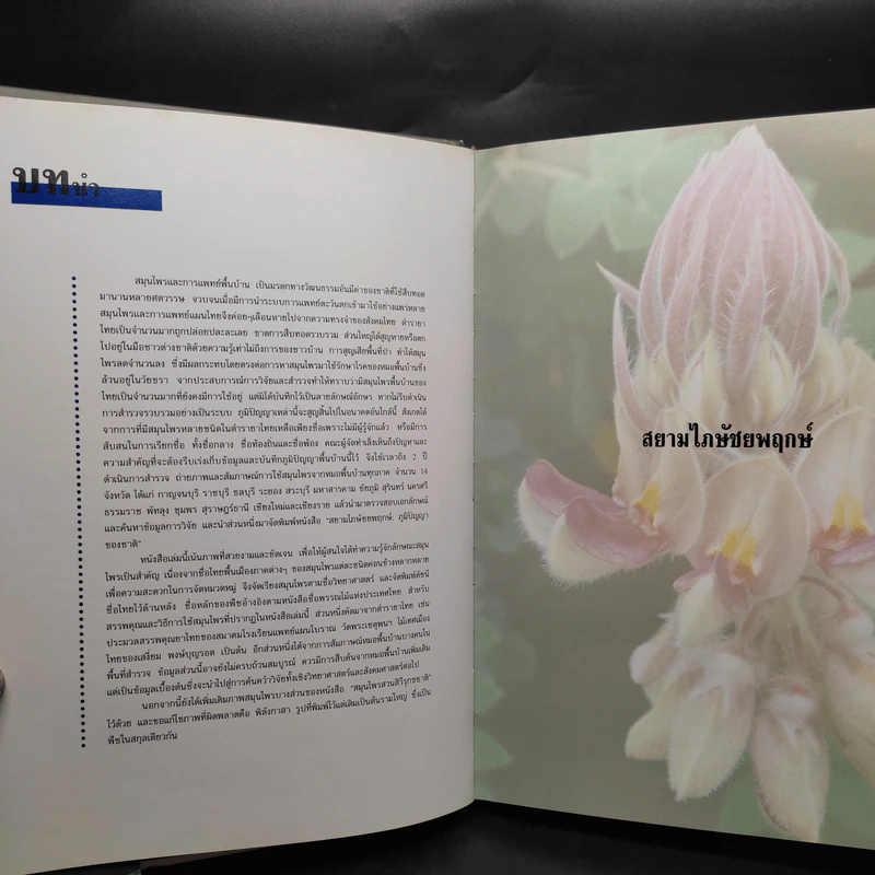 สยามไภษัชยพฤกษ์ : ภูมิปัญญาของชาติ รูปที่ 6