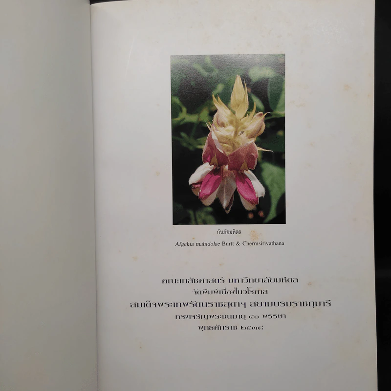 สยามไภษัชยพฤกษ์ : ภูมิปัญญาของชาติ รูปที่ 5