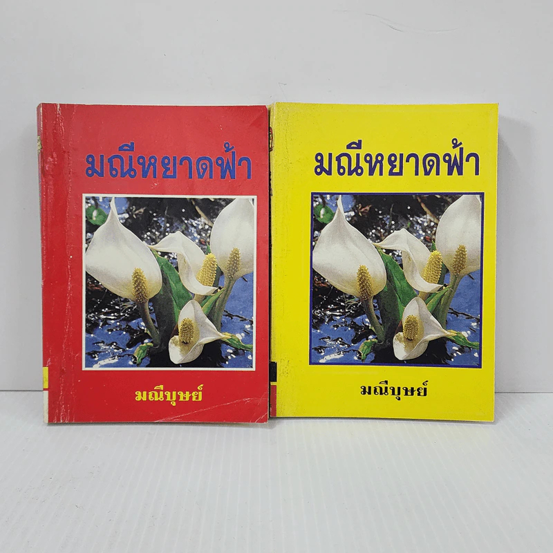 มณีหยาดฟ้า 2 เล่มจบ - มณีบุษย์ รูปที่ 1