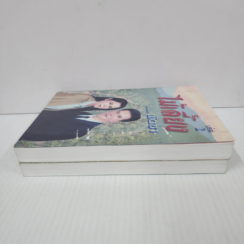 ไม้เลี้ยง 2 เล่มจบ - พัดชา รูปที่ 3