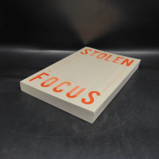 โลกไร้โฟกัส : Stolen Focus : Why You Can't Pay Attention - Johann Hari รูปที่ 4