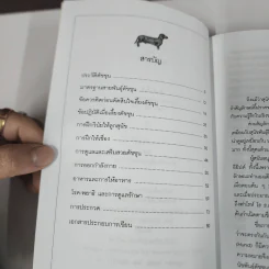 ดัชชุน Dachshund - รุ่งฟ้า ภัทรลังกา รูปที่ 8