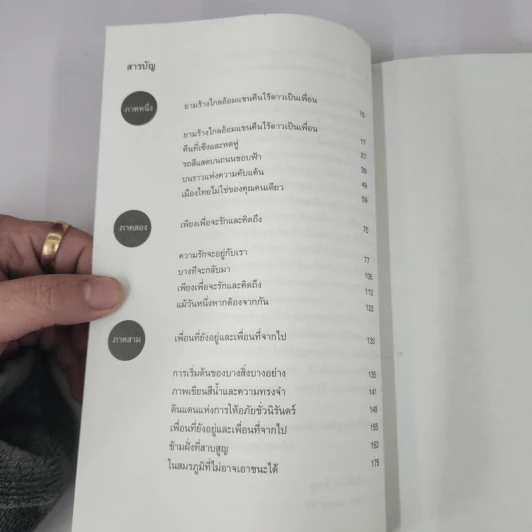 ดินแดนแห่งการให้อภัยชั่วนิรันดร์ - พิบูลศักดิ์ ละครพล รูปที่ 8