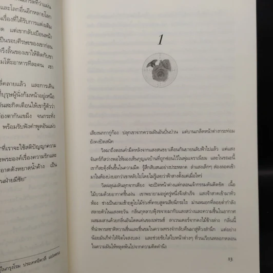 Boxset ปริศนาวงกตกุหลาบ - ติตาเนีย ฮาร์ดี รูปที่ 8