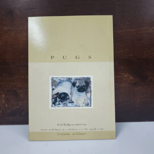 ปั๊ก Pugs - รุ่งฟ้า ภัทรลังกา รูปที่ 6