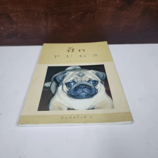 ปั๊ก Pugs - รุ่งฟ้า ภัทรลังกา รูปที่ 5