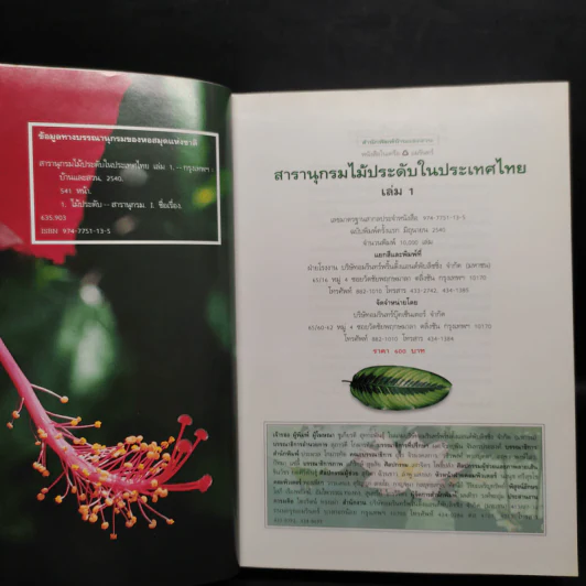 สารานุกรมไม้ประดับในประเทศไทย เล่ม 1 รูปที่ 5