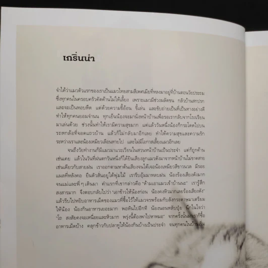 คู่มือเลี้ยงแมว Cat Stories - อุไร จิรมงคลการ รูปที่ 5