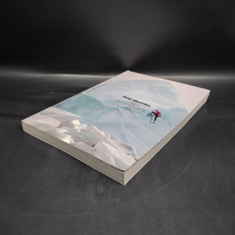 ความฝันโง่ๆ หนังสือเสริมกำลังใจ ชุด 2 - วินทร์ เลียววาริณ รูปที่ 4