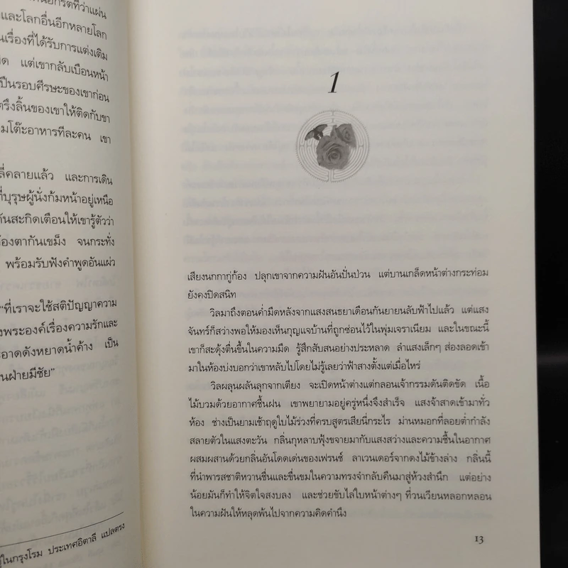 Boxset ปริศนาวงกตกุหลาบ - ติตาเนีย ฮาร์ดี รูปที่ 8