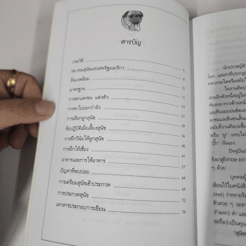 ปั๊ก Pugs - รุ่งฟ้า ภัทรลังกา รูปที่ 8
