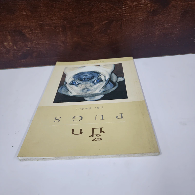 ปั๊ก Pugs - รุ่งฟ้า ภัทรลังกา รูปที่ 4