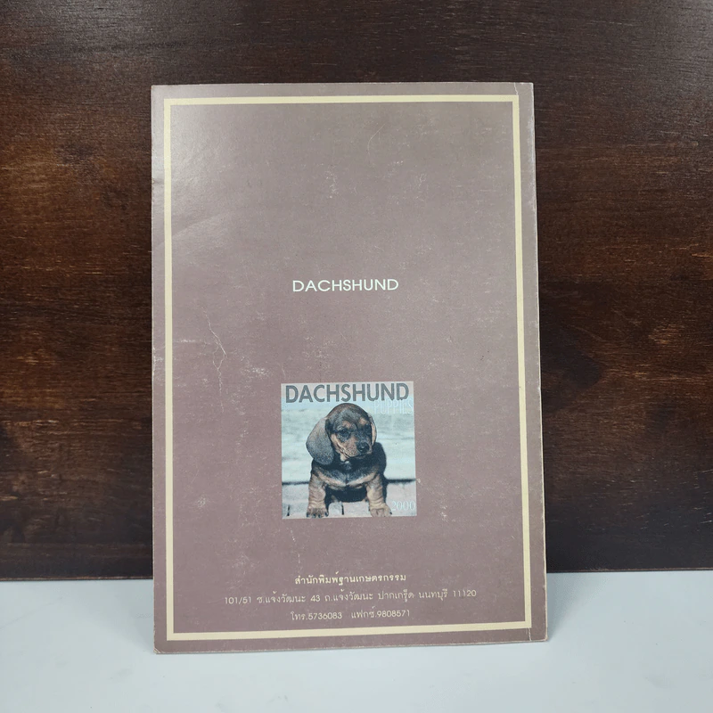 ดัชชุน Dachshund - รุ่งฟ้า ภัทรลังกา รูปที่ 6