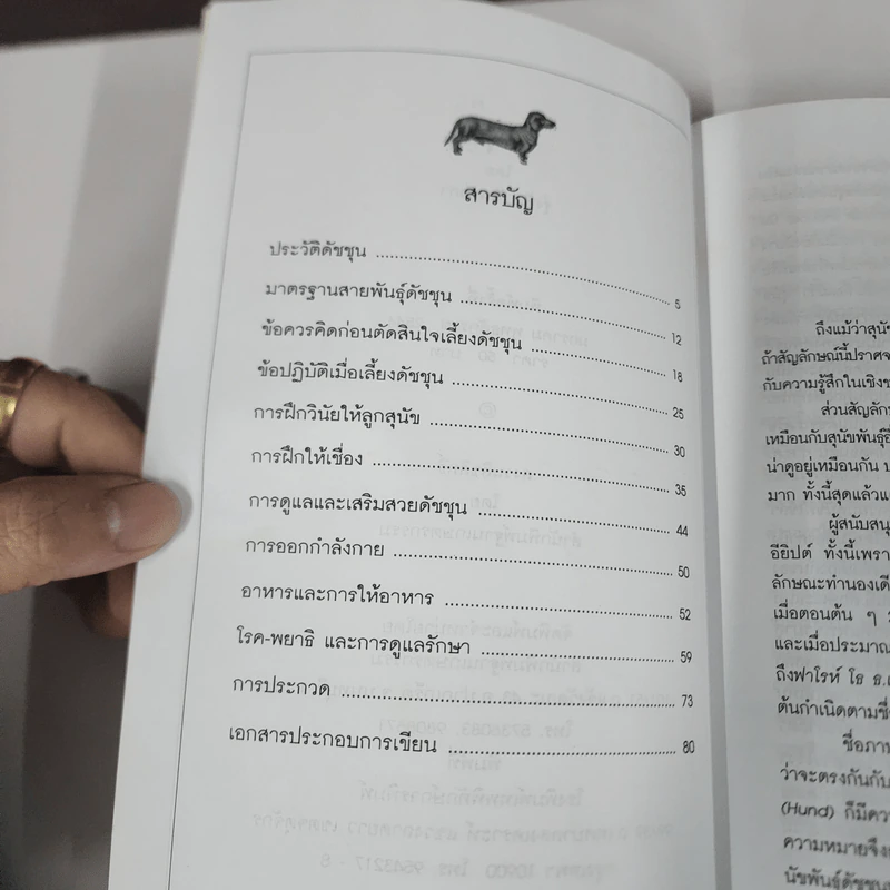 ดัชชุน Dachshund - รุ่งฟ้า ภัทรลังกา รูปที่ 8