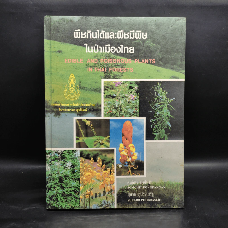 พืชกินได้และพืชมีพิษในป่าเมืองไทย รูปที่ 1