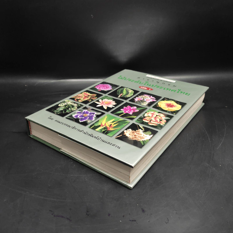 สารานุกรมไม้ประดับในประเทศไทย เล่ม 1 รูปที่ 4