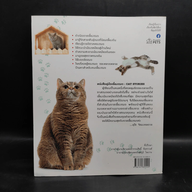 คู่มือเลี้ยงแมว Cat Stories - อุไร จิรมงคลการ รูปที่ 2