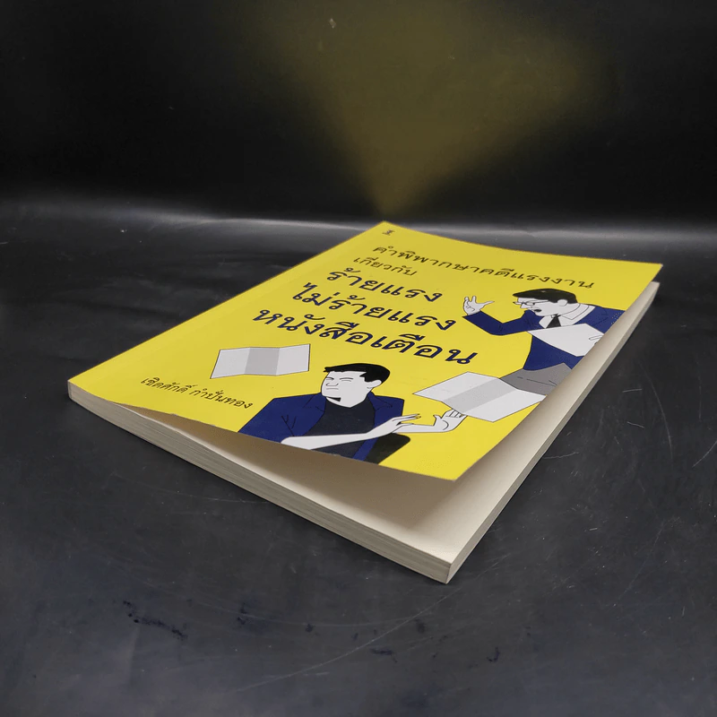 คำพิพากษาคดีแรงงานเกี่ยวกับร้ายแรง ไม่ร้ายแรง หนังสือเตือน - เชิดศักดิ์ กำปั่นทอง รูปที่ 4