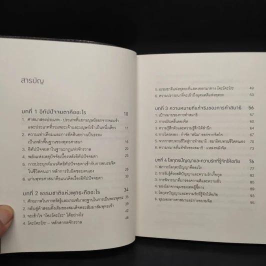 The Challenge of the Mind ความท้าทายแห่งจิต - ริวโฮ โอคาวา รูปที่ 6