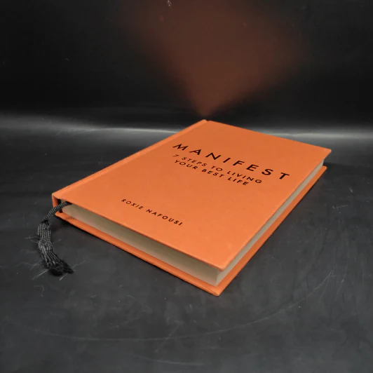 Manifest - Roxie Nafousi รูปที่ 4