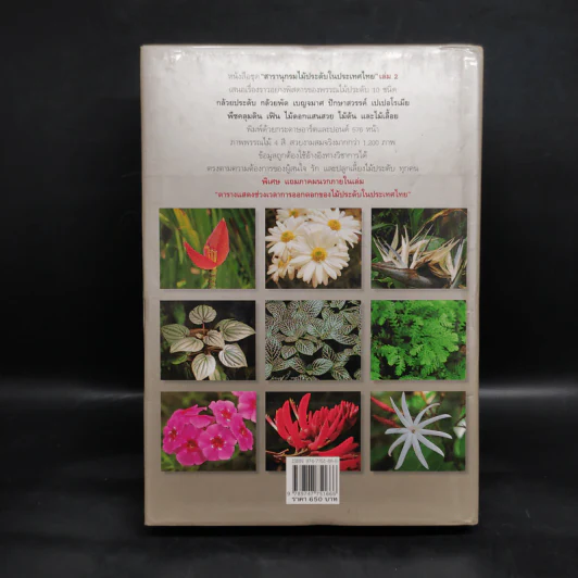 สารานุกรมไม้ประดับในประเทศไทย เล่ม 2 รูปที่ 2