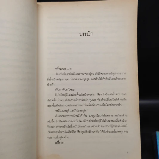 อัญมณีในเงาหมอก 2 เล่มจบ - Lil'z รูปที่ 6