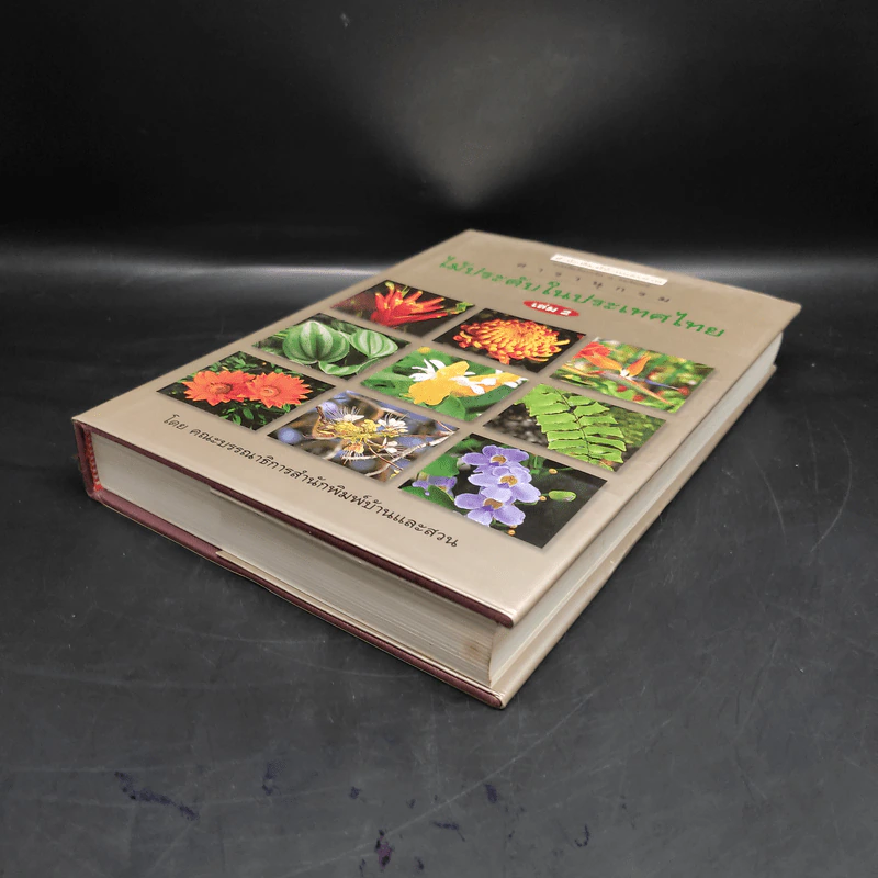 สารานุกรมไม้ประดับในประเทศไทย เล่ม 2 รูปที่ 4