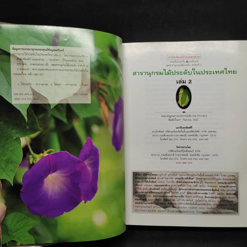 สารานุกรมไม้ประดับในประเทศไทย เล่ม 2 รูปที่ 5