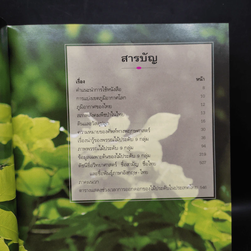 สารานุกรมไม้ประดับในประเทศไทย เล่ม 2 รูปที่ 6
