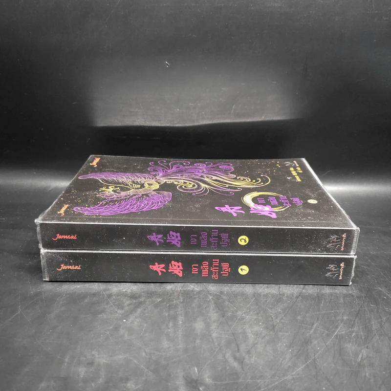 เงาเพลิงสะท้านปฐพี เล่ม 1-2 - เอ๋อเหมย รูปที่ 3