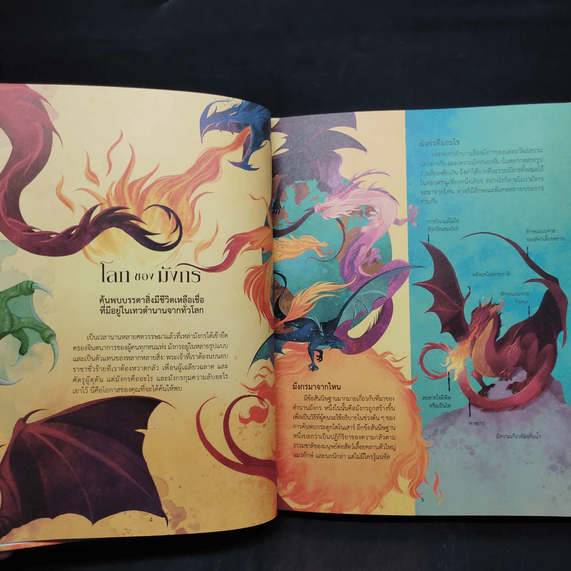 โลกของมังกร - ทามารา แม็กฟาร์เลน รูปที่ 6