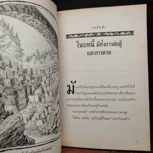 The Spiderwick Chronicles ตำนานสไปเดอร์วิก เล่ม 1-4 รูปที่ 8