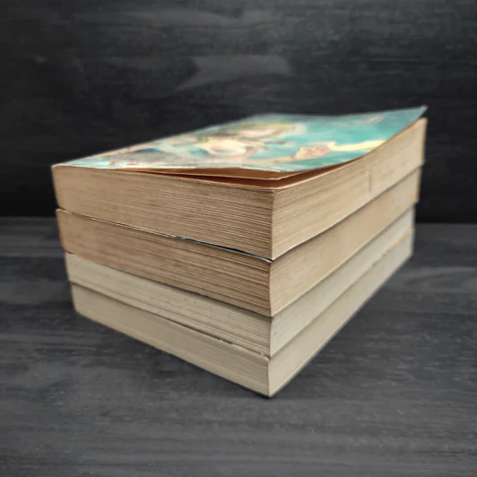 ตำนานผู้พิทักษ์ ดาบศักดิ์สิทธิ์ ภาค 1-2 ครบชุด 4 เล่ม - มิริน รูปที่ 5