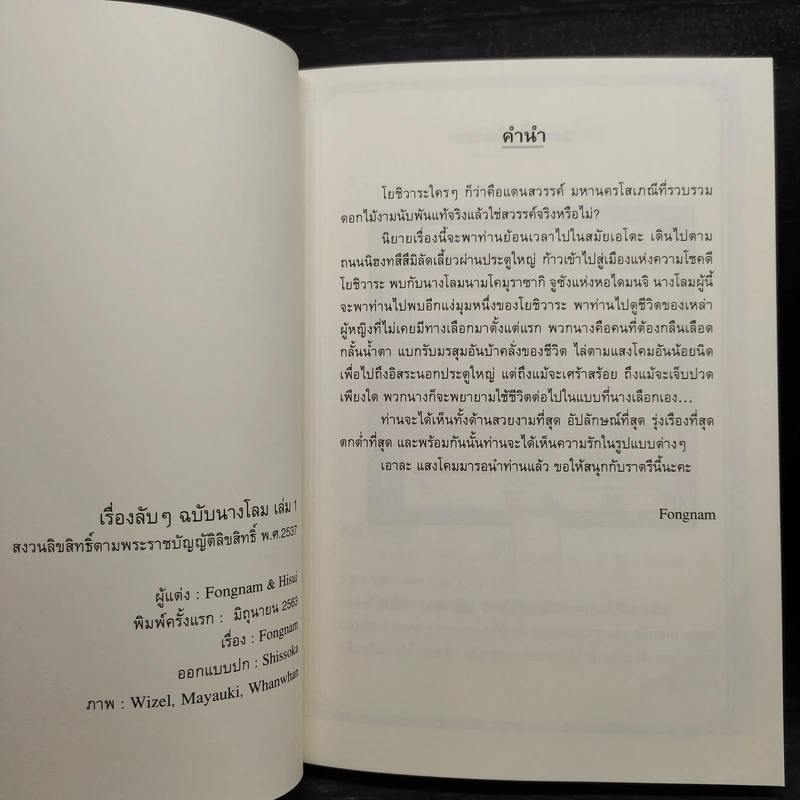 เรื่องลับๆฉบับนางโลม 2 เล่มจบ + เรื่องในมุ้งขอเจ๊ยุ่งเอง - Fongnam & Hisui รูปที่ 5