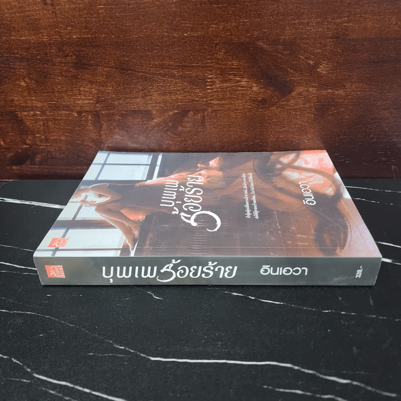 บุพเพร้อยร้าย - อินเอวา รูปที่ 2