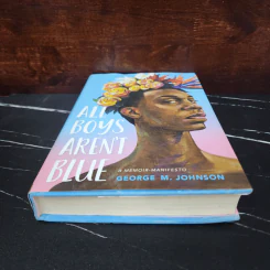 All Boys Aren't Blue - George M. Johnson รูปที่ 4