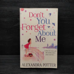 Don't You Forget About Me - Alexandra Potter รูปที่ 1