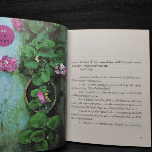 ประเทศของเรา เหมือนสวนดอกไม้ - หนุ่ม หนังสือเดินทาง รูปที่ 7